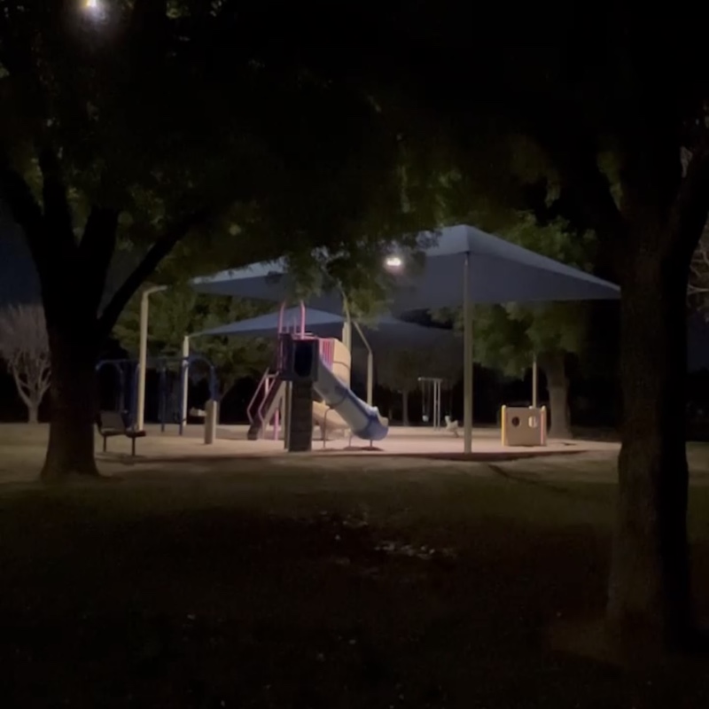 An eerie and dark playground at night, surrounded by trees and park lighting