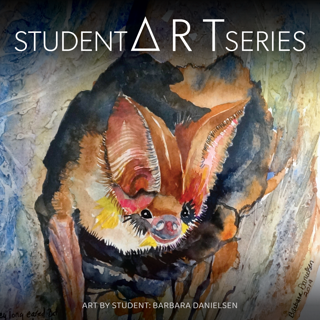 Student Art Series Fall